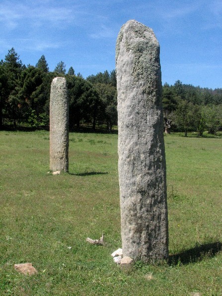 menhir collobrieres var