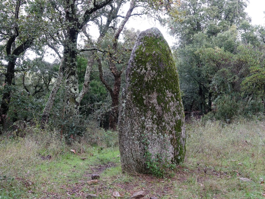 menhir collobrieres st anselme