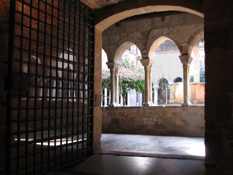cathedrale frejus