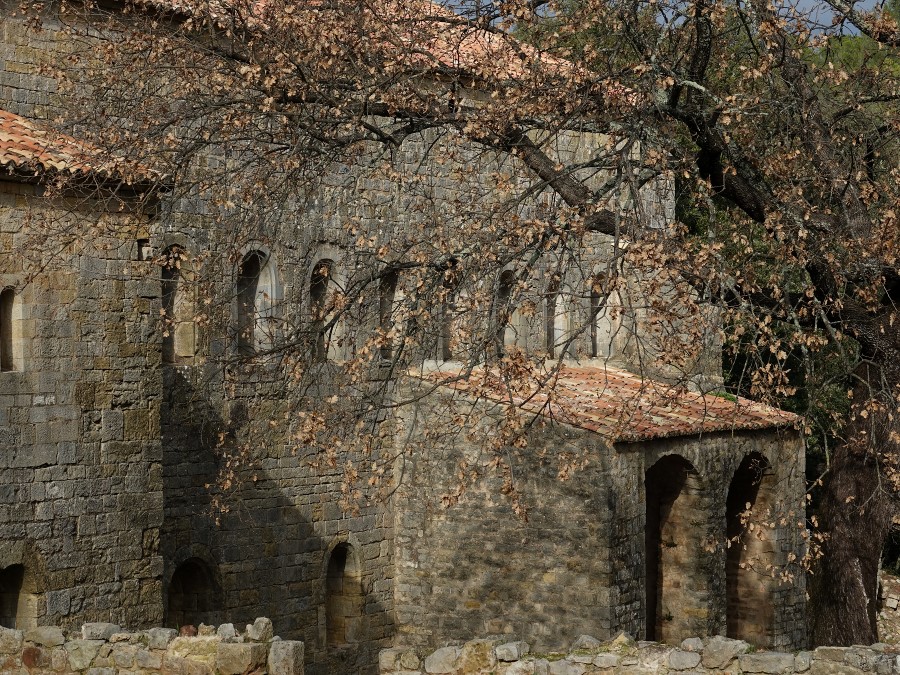 abbaye thoronet