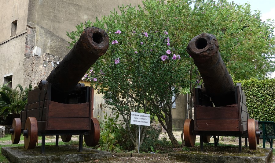 musee archeologie saint raphael canon pave