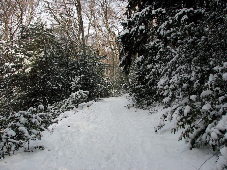 sainte baume neige