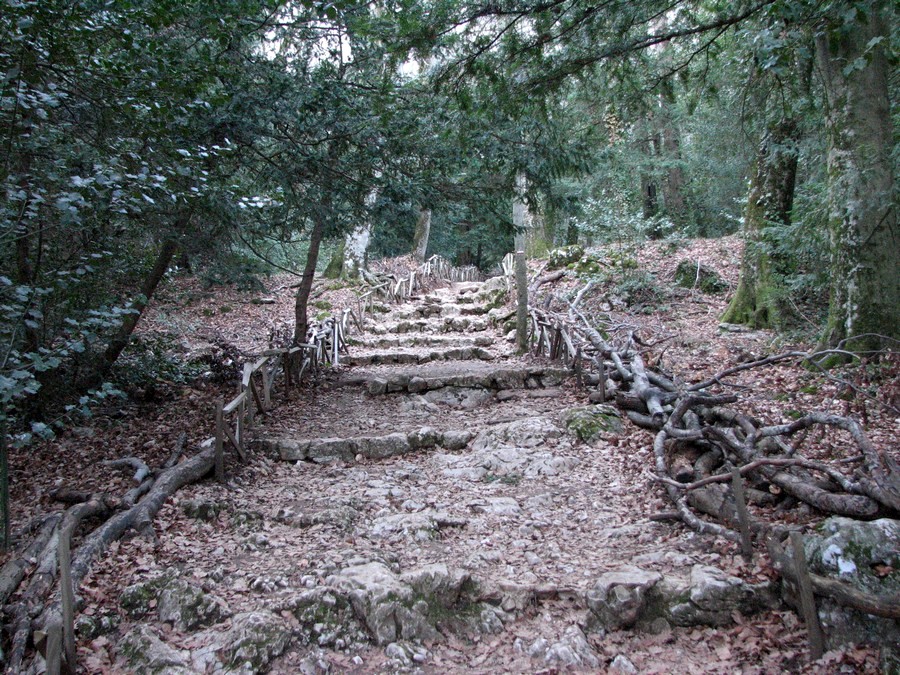 chemin canape ste baume magdeleine