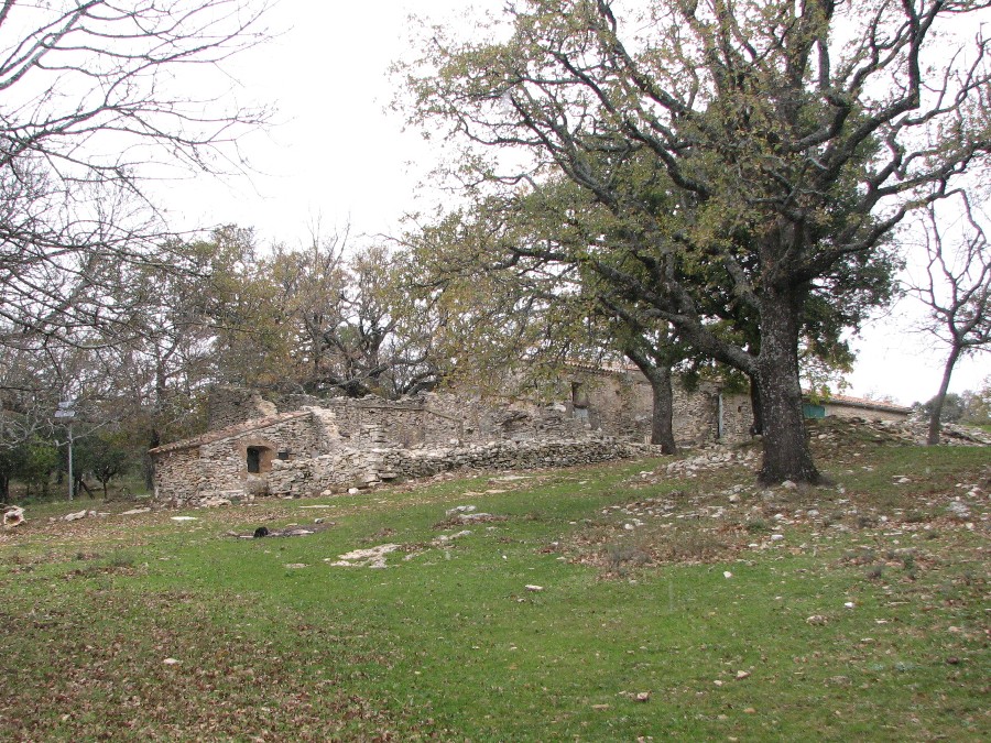 jas d agnis