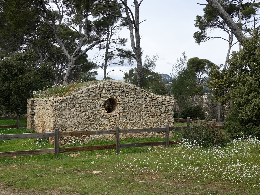 sechoir figue ollioules var provence