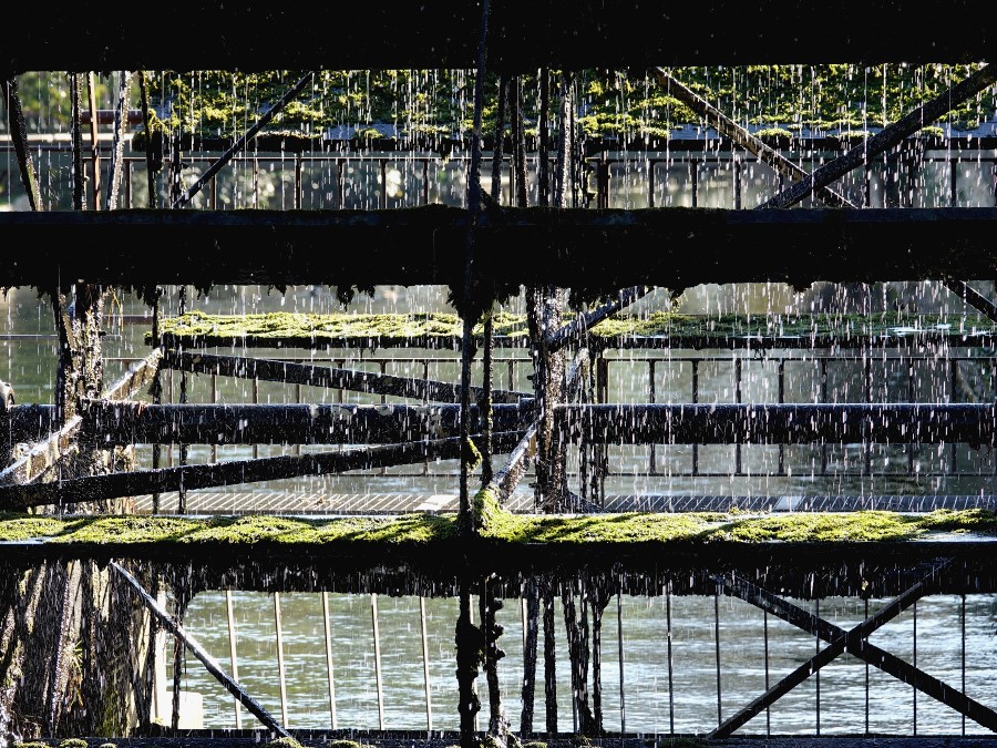isle sorgue roue aubes moulin