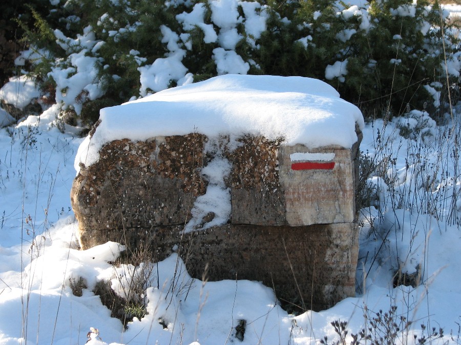 gr enneig dans le Var