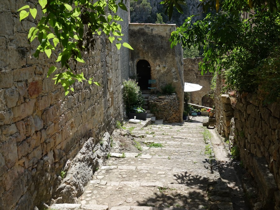 entrecasteaux var