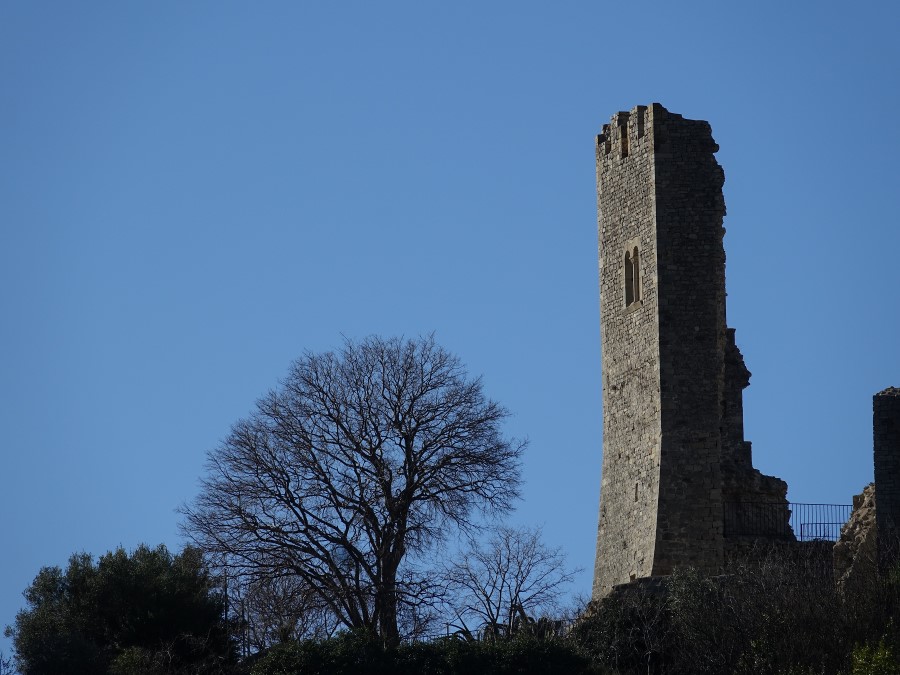 ollioules chateau feodal vintimille