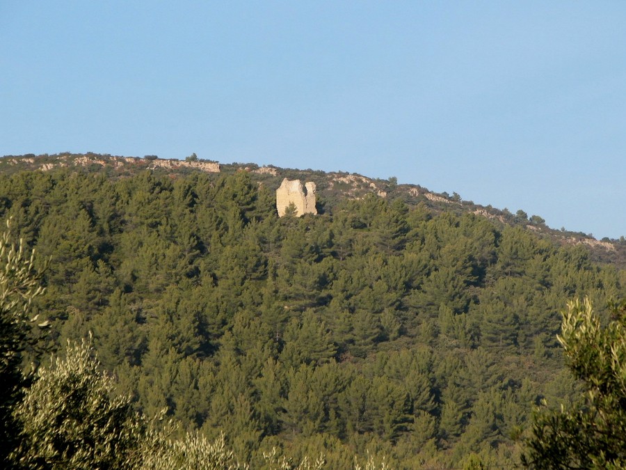 tour du defends tour du faucon puget ville