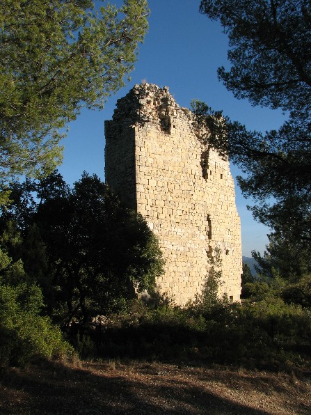tour du defends tour du faucon puget ville