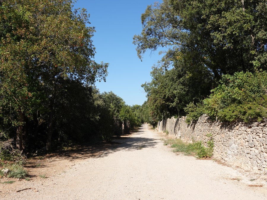 allee parc tourves chateau var