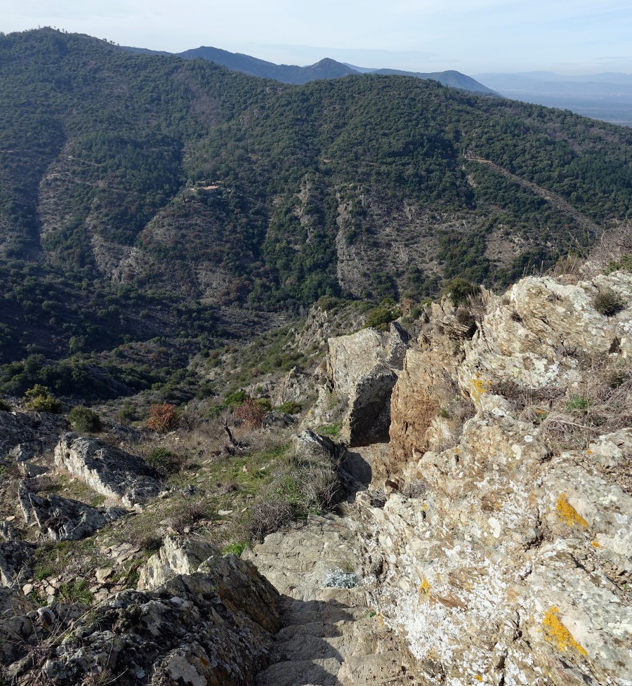 sarrasin fort freinet la garde freinet