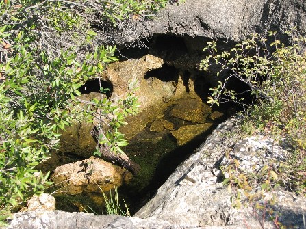 eau belgentier