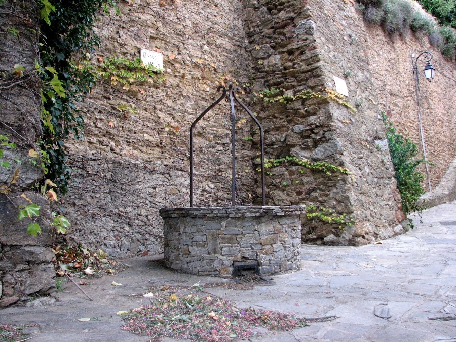 Bormes les Mimosas