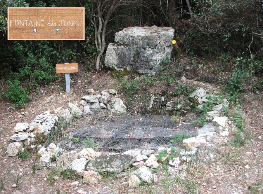 Fontaine des joncs