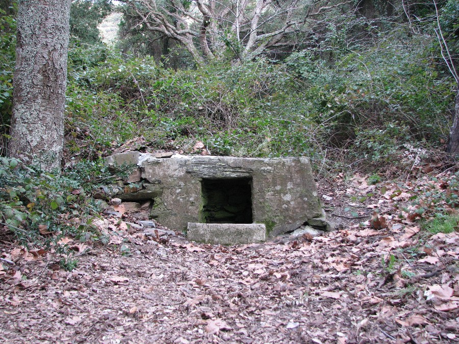 puits Roumagnan fort de ND du Mai