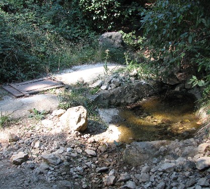 Source de la Ripelle