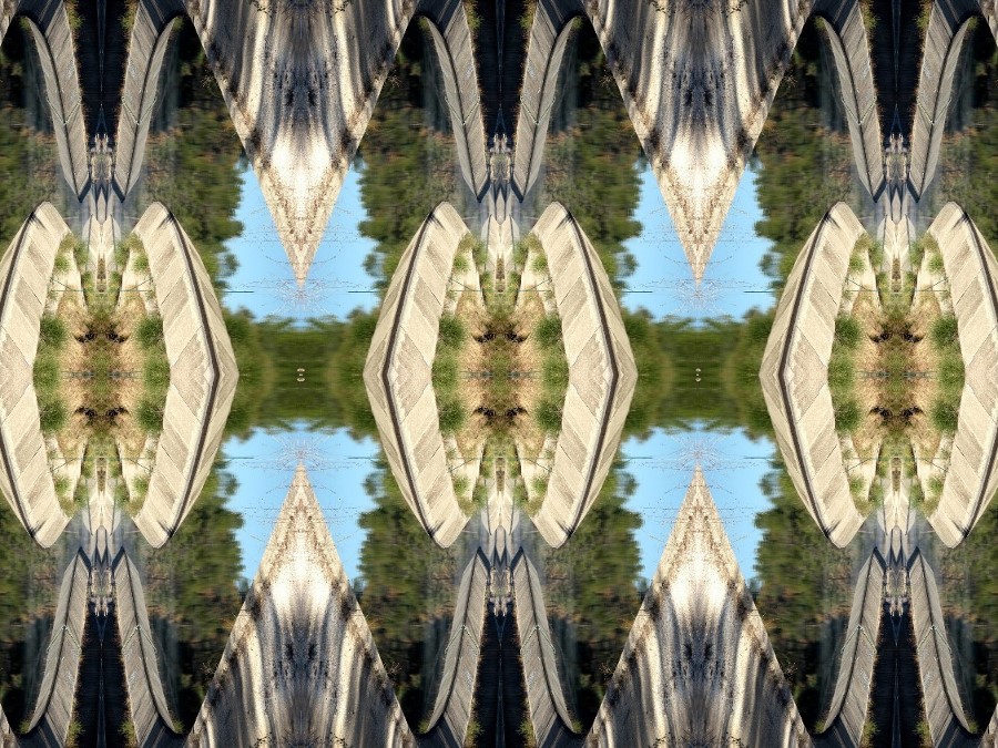 canal de provence